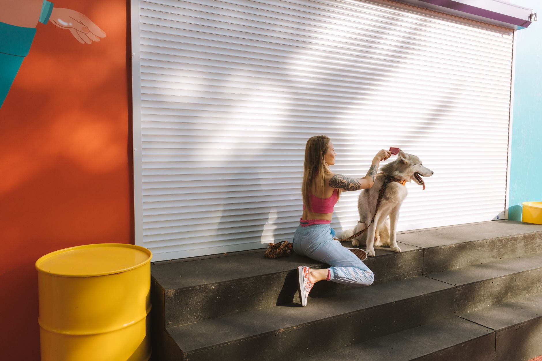Woman combing a Siberian husky's coat on city steps